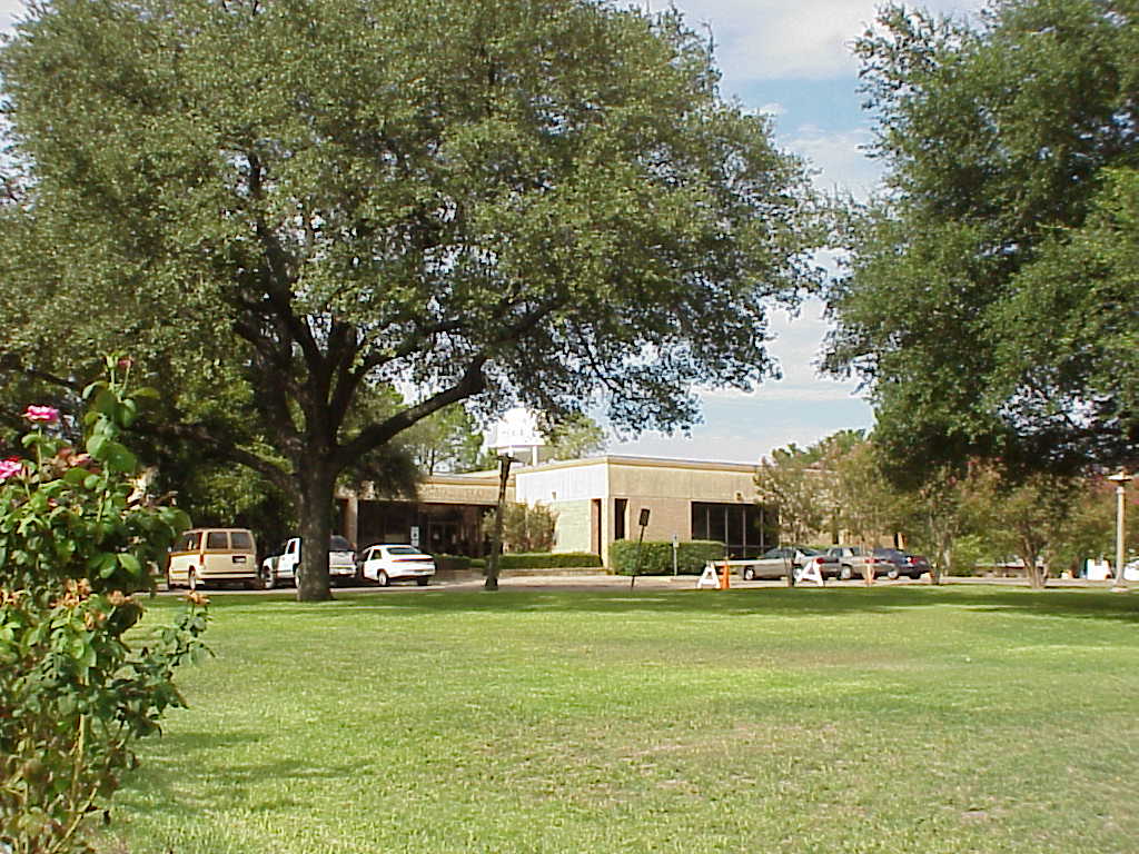 Yard view